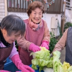 Thumbnail of new posts 178